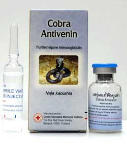 Snake Antivenom for Cobra Venom, Red Cross Antivenin Treatment for Naja Kaouthia